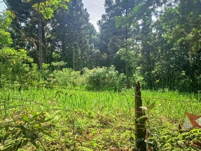 Sítio e chácara venda em Região Geográfica Imediata de Curitiba, Região Metropolitana de Curitiba