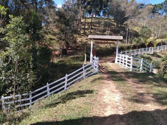 Sítio e chácara venda em Marmelópolis