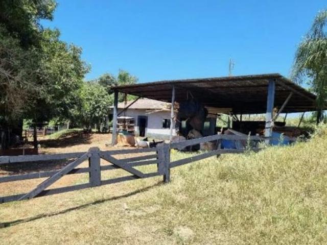 Sítio e chácara venda em Região Geográfica Imediata de Londrina, Sertanópolis