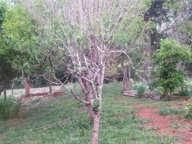 Sítio e chácara venda em Alto do Amparo, Tibagi