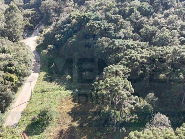 Sítio e chácara venda em Região Geográfica Imediata de Curitiba, Região Metropolitana de Curitiba