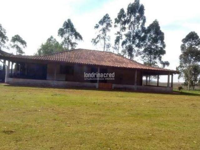 Sítio e chácara venda em Região Geográfica Imediata de Londrina, Londrina