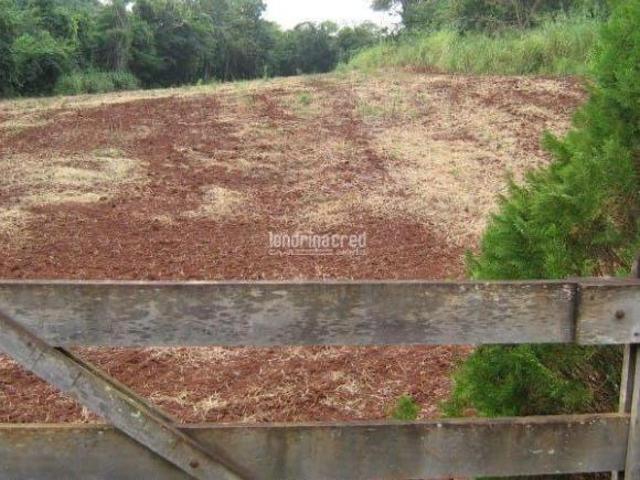 Sítio e chácara venda em Região Geográfica Imediata de Londrina, Londrina