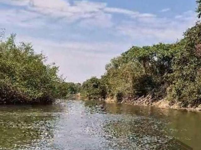 Sítio e chácara venda em Região Geográfica Imediata de Piracanjuba, Mairipotaba