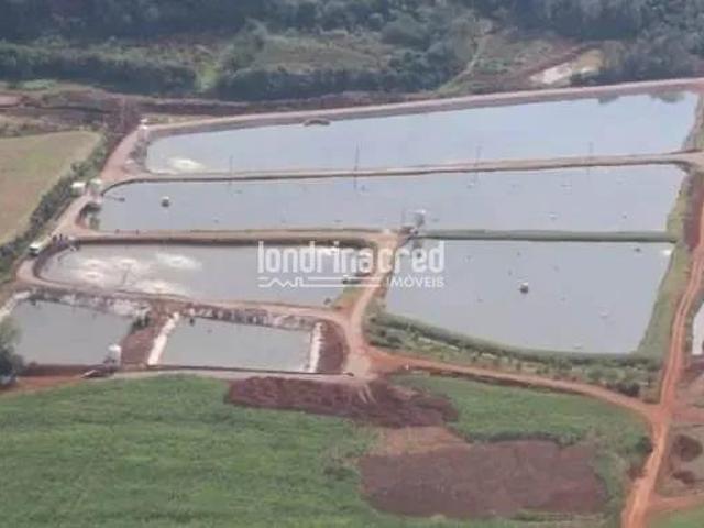 Sítio e chácara venda em Região Geográfica Imediata de Marechal Cândido Rondon, Nova Santa Rosa