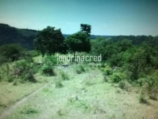 Sítio e chácara venda em Região Geográfica Imediata de Telêmaco Borba, Ortigueira