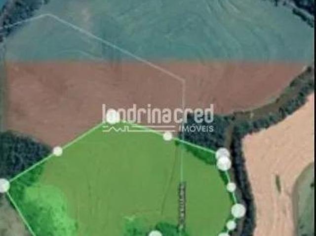 Sítio e chácara venda em Região Geográfica Imediata de Toledo, São Pedro do Iguaçu
