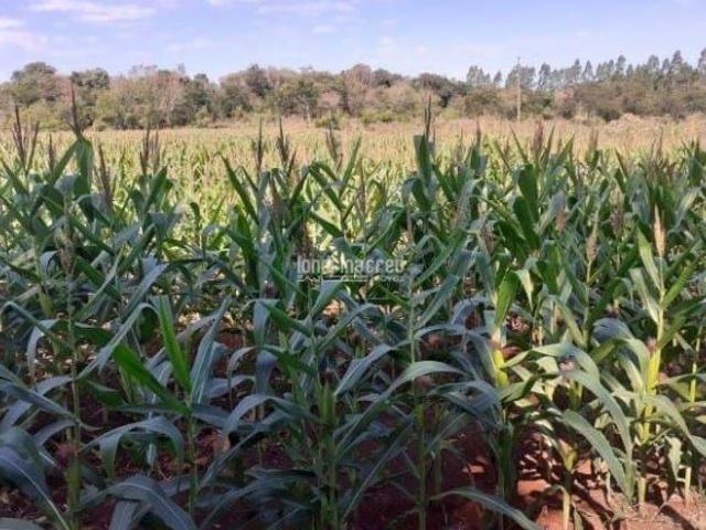 Sítio e chácara venda em Região Geográfica Imediata de Toledo, Santa Helena
