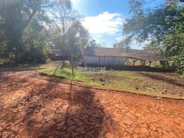 Sítio e chácara venda em Região Geográfica Imediata de Foz do Iguaçu, Serranópolis do Iguaçu