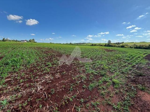 Sítio e chácara venda em Região Geográfica Imediata de Toledo, Toledo