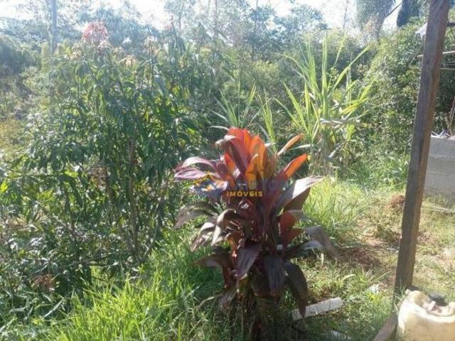 Sítio e chácara venda em Francisco Morato