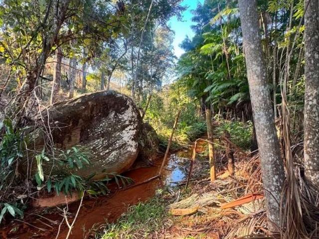Sítio e chácara venda em Região Geográfica Imediata de Caratinga, Caratinga