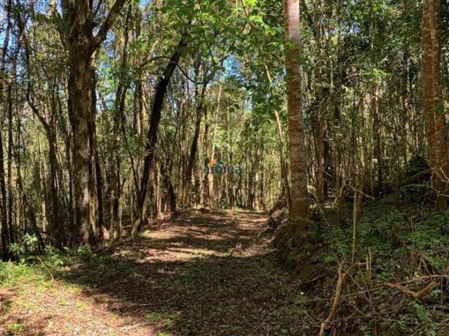 Sítio e chácara venda em Região Geográfica Imediata de Curitiba, Região Metropolitana de Curitiba