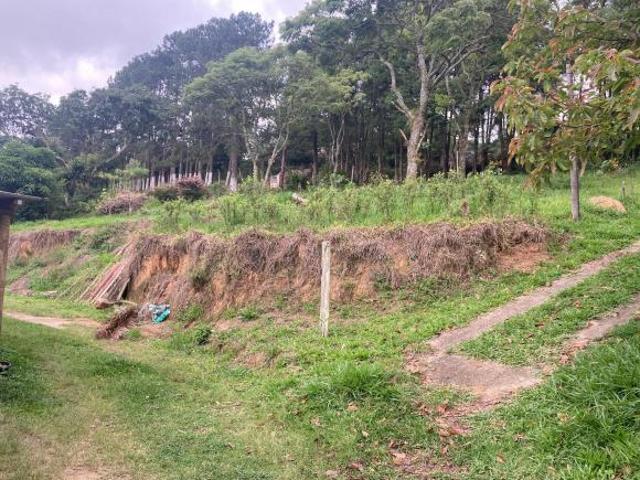 Sítio e chácara venda em Região Imediata de São Paulo, Região Metropolitana de São Paulo