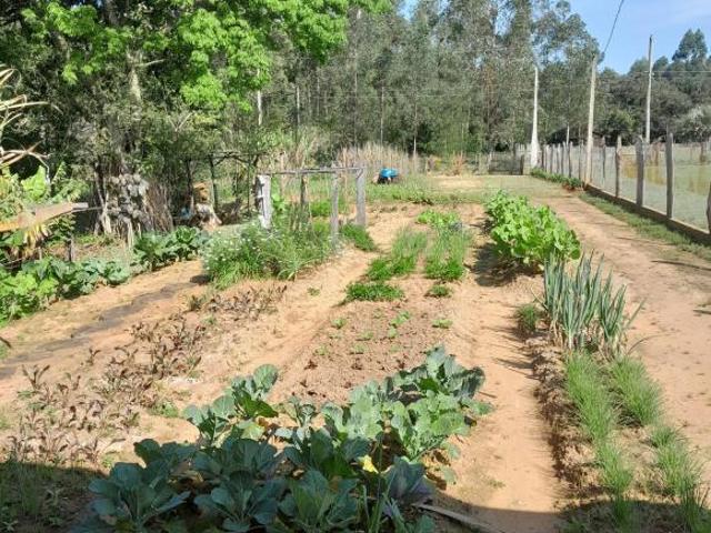Sítio e chácara venda em Região Geográfica Imediata de Montenegro, Região Metropolitana de Porto Alegre
