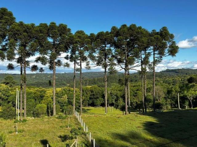 Sítio e chácara venda em Região Geográfica Imediata de Caxias do Sul, Caxias do Sul