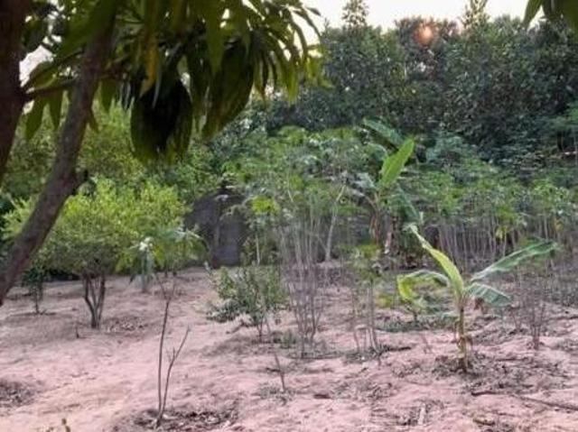 Sítio e chácara venda em Região Imediata de Rio Claro, Região Metropolitana de Piracicaba