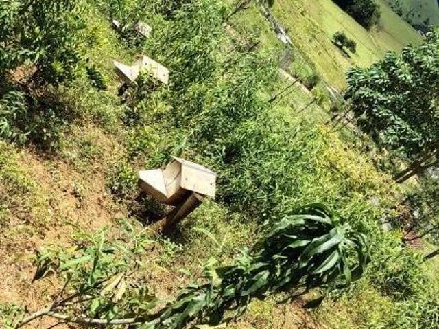Sítio e chácara venda em Córrego do Bom Jesus