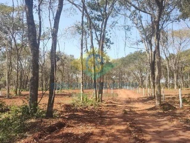 Sítio e chácara venda em Região Geográfica Imediata de Campo Grande, Campo Grande