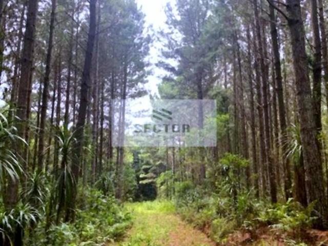 Sítio e chácara venda em Região Geográfica Imediata de Curitiba, Região Metropolitana de Curitiba