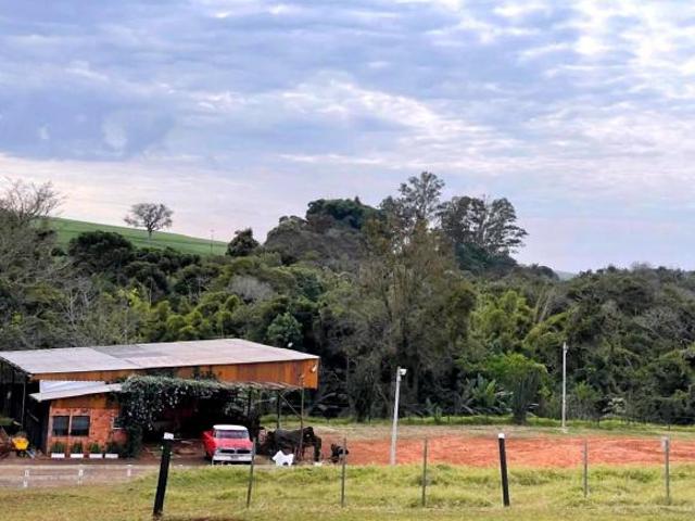 Sítio e chácara venda em Centro Histórico, Rolândia
