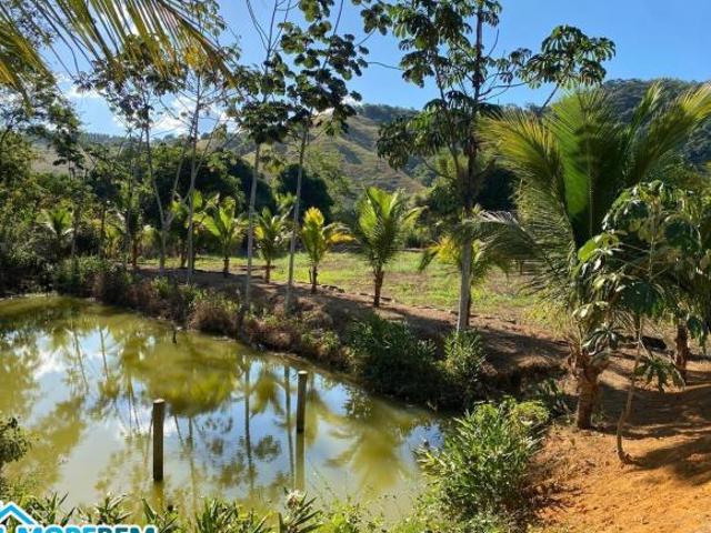 Sítio e chácara venda em Região Geográfica Imediata de Ipatinga, Região Metropolitana do Vale do Aço