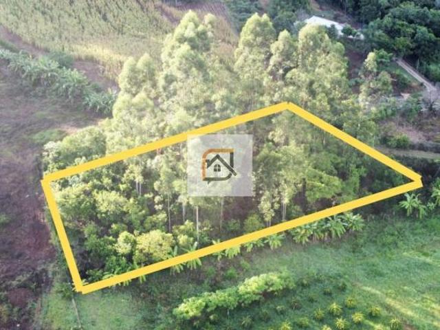 Sítio e chácara venda em Região Geográfica Imediata de Novo Hamburgo - São Leopoldo, Bom Princípio
