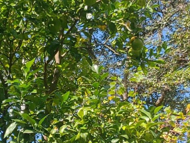 Sítio e chácara venda em Região Imediata de Sorocaba, Região Metropolitana de Sorocaba