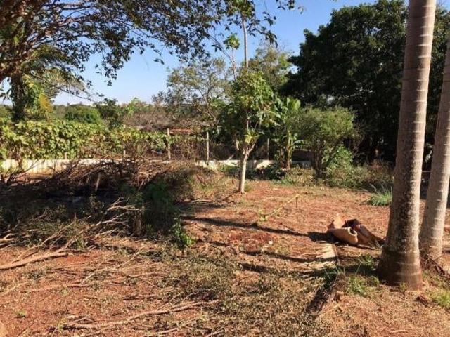 Sítio e chácara venda em Londrina