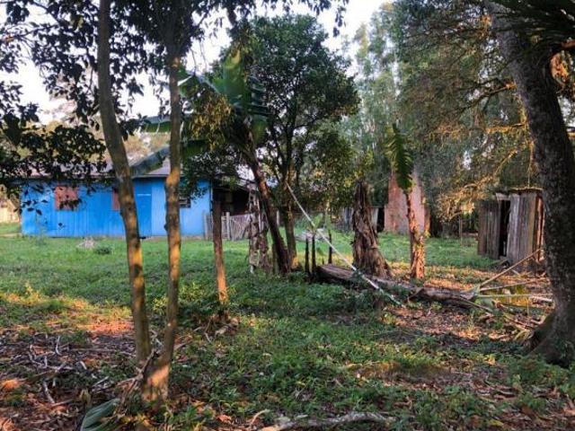 Sítio e chácara venda em Região Geográfica Imediata de Torres, Aglomeração Urbana do Litoral Norte