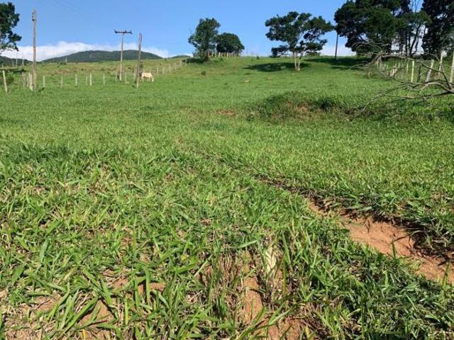 Sítio e chácara venda em Vargem, Região Geográfica Intermediária de Campinas
