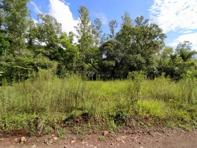 Sítio e chácara venda em Região Geográfica Imediata de Tramandaí - Osório, Aglomeração Urbana do Litoral Norte