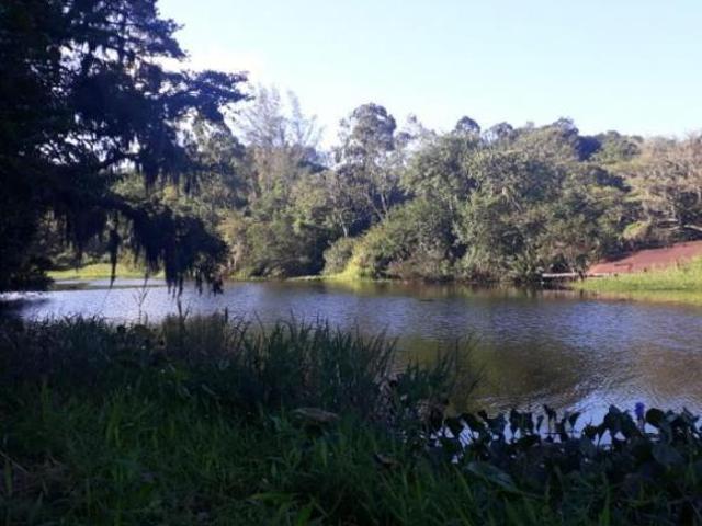 Sítio e chácara venda em Região Geográfica Imediata de Caxias do Sul, São Francisco de Paula