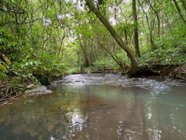 Sítio e chácara venda em Região Geográfica Imediata de Tramandaí - Osório, Aglomeração Urbana do Litoral Norte