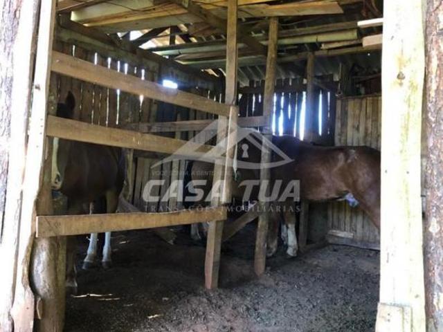 Casa venda em Região Geográfica Imediata de Passo Fundo, Passo Fundo