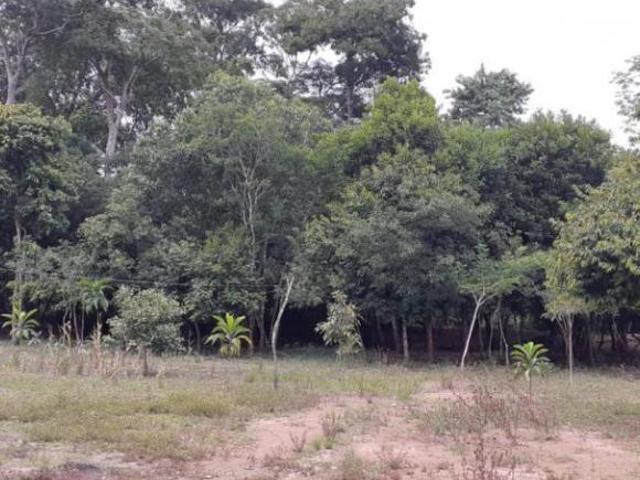 Sítio e chácara venda em Região Geográfica Imediata de Peixoto de Azevedo - Guarantã do Norte, Novo Mundo