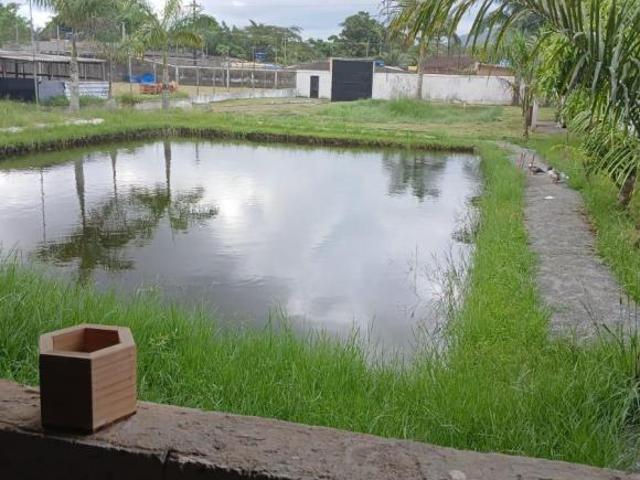 Sítio e chácara venda em Mongaguá