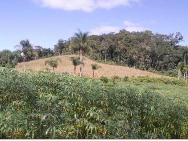Sítio e chácara venda em Bateias, Campo Largo