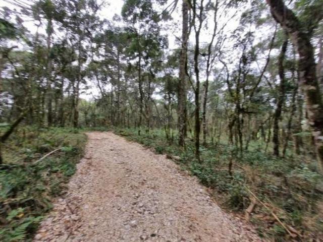 Sítio e chácara venda em Região Geográfica Imediata de Curitiba, Região Metropolitana de Curitiba