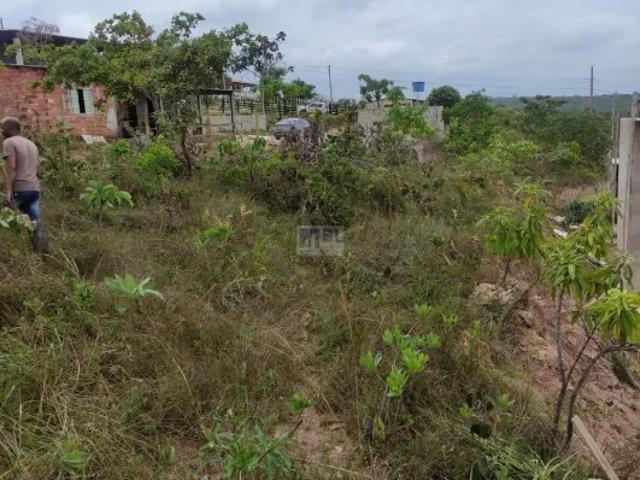 Fazenda venda em Região Geográfica Imediata de Anápolis, Região Integrada de Desenvolvimento do Distrito Federal e Entorno