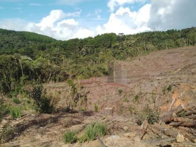 Sítio e chácara venda em Catanduva