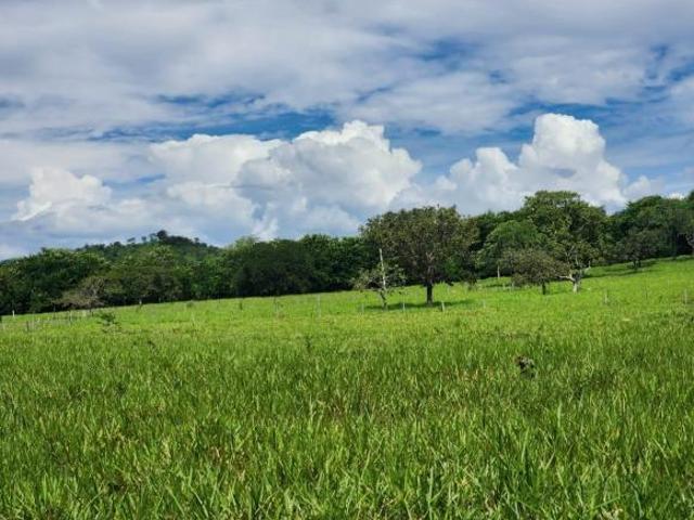 Sítio e chácara venda em Região Geográfica Imediata do Distrito Federal, Região Integrada de Desenvolvimento do Distrito Federal e Entorno