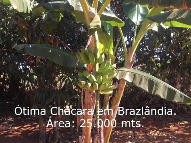 Sítio e chácara venda em Expansão da Vila São José, Brazlândia
