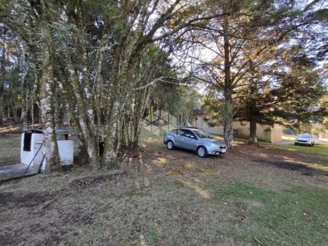 Sítio e chácara venda em Região Geográfica Imediata de Caxias do Sul, Caxias do Sul