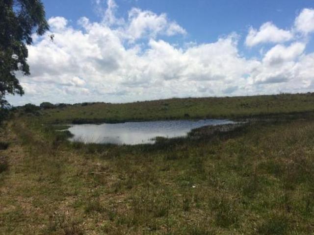 Sítio e chácara venda em Região Geográfica Imediata de Caxias do Sul, Cambara do Sul