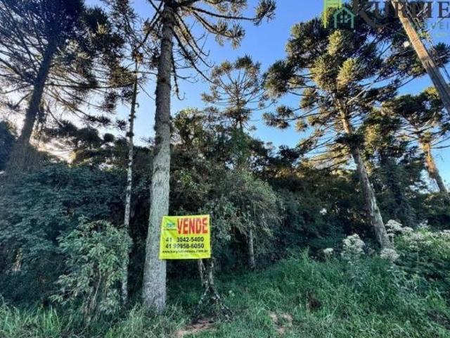 Sítio e chácara venda em Região Geográfica Imediata de Curitiba, Região Metropolitana de Curitiba