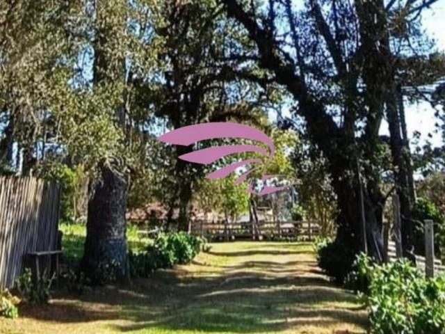 Sítio e chácara venda em Região Geográfica Imediata de Curitiba, Região Metropolitana de Curitiba