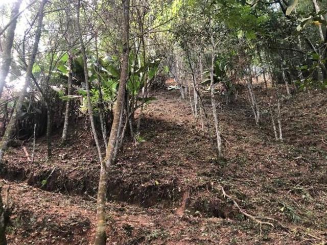 Sítio e chácara venda em Região Imediata de Bragança Paulista, Joanópolis