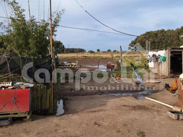 Sítio e chácara venda em Região Geográfica Imediata de Pelotas, Santa Vitória do Palmar
