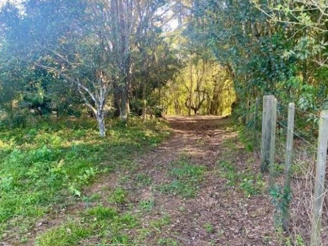 Sítio e chácara venda em Região Geográfica Imediata de Santa Cruz do Sul, Venancio Aires